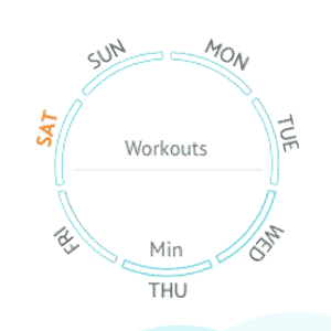 Workout Wheel
